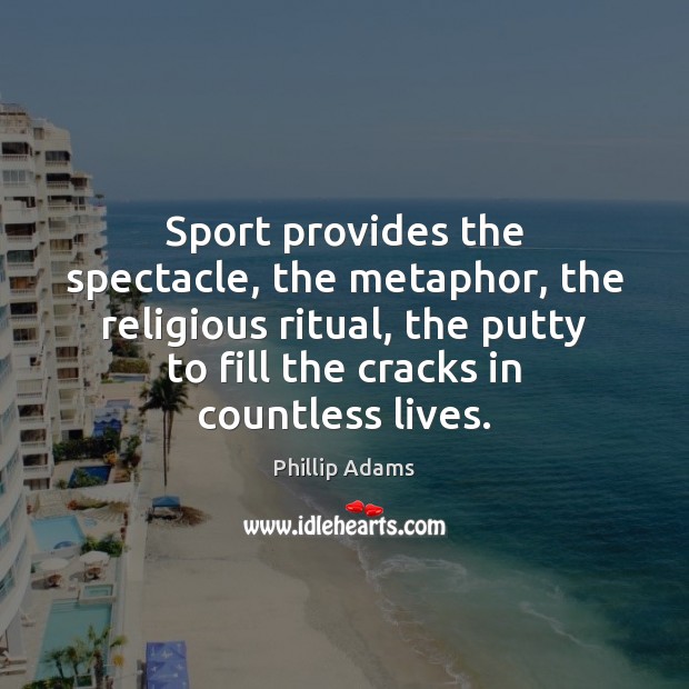 Sport provides the spectacle, the metaphor, the religious ritual, the putty to Image