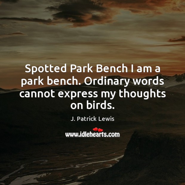 Spotted Park Bench I am a park bench. Ordinary words cannot express my thoughts on birds. Image