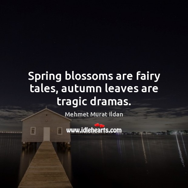 Spring blossoms are fairy tales, autumn leaves are tragic dramas. 