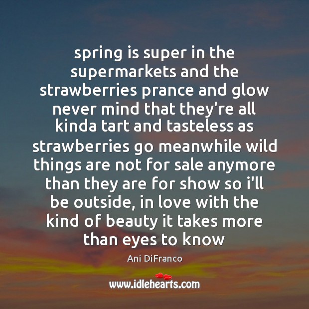 Spring is super in the supermarkets and the strawberries prance and glow Ani DiFranco Picture Quote
