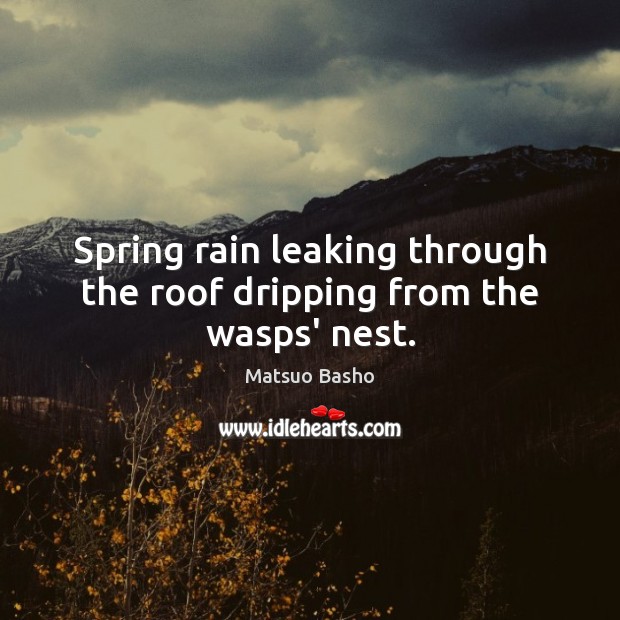 Spring rain leaking through the roof dripping from the wasps’ nest. Matsuo Basho Picture Quote