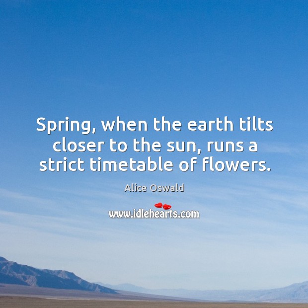 Spring, when the earth tilts closer to the sun, runs a strict timetable of flowers. Image