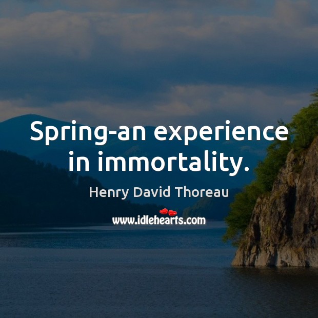Spring-an experience in immortality. Image