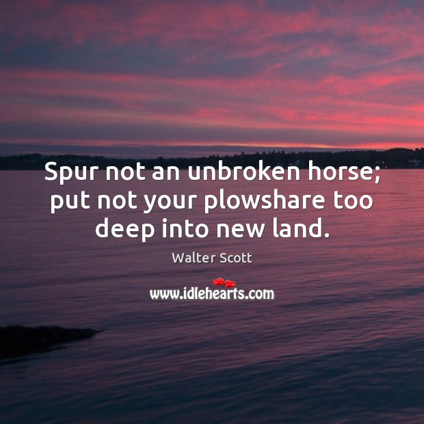 Spur not an unbroken horse; put not your plowshare too deep into new land. Walter Scott Picture Quote