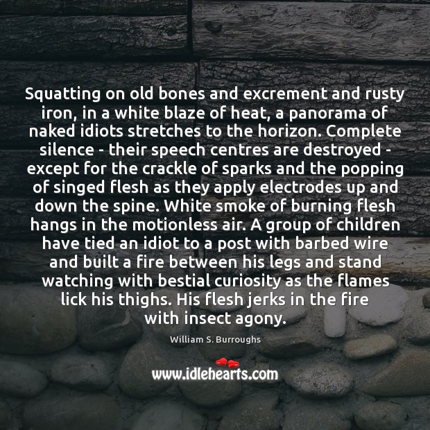 Squatting on old bones and excrement and rusty iron, in a white 