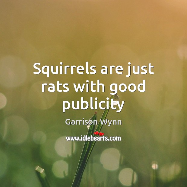 Squirrels are just rats with good publicity Garrison Wynn Picture Quote