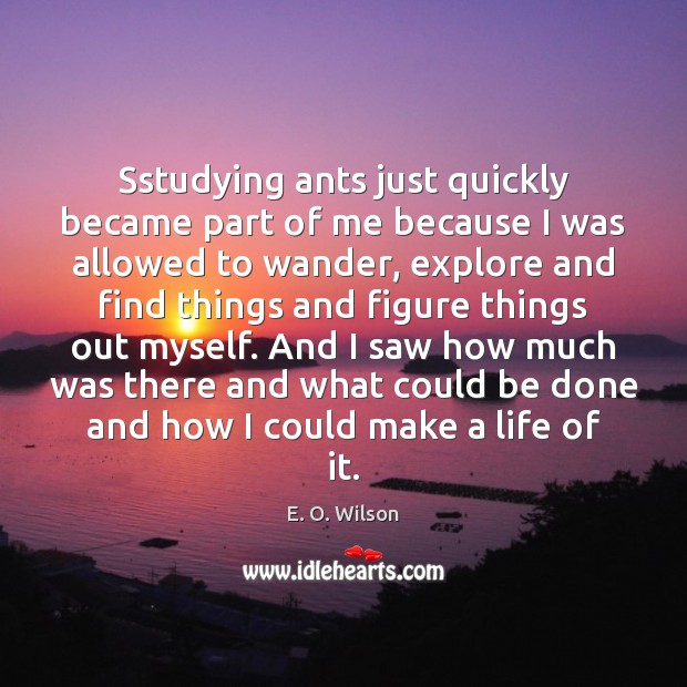 Sstudying ants just quickly became part of me because I was allowed E. O. Wilson Picture Quote