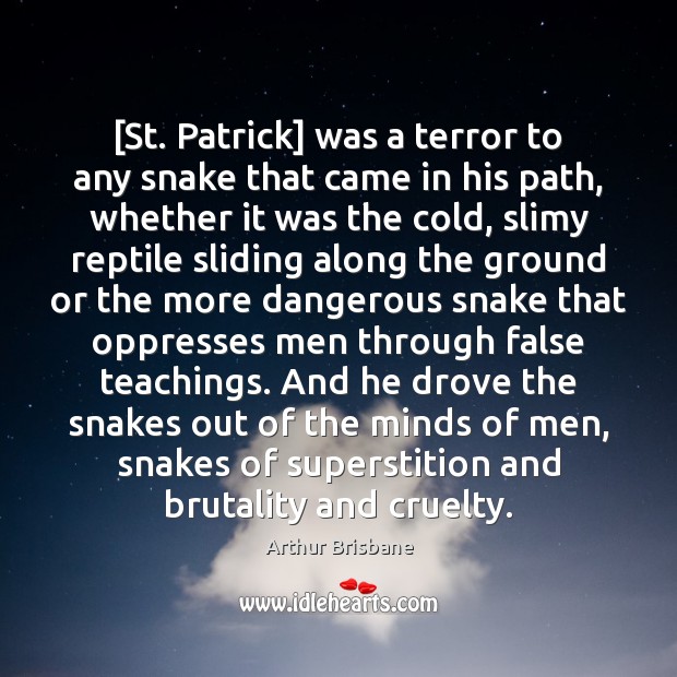 [St. Patrick] was a terror to any snake that came in his Image