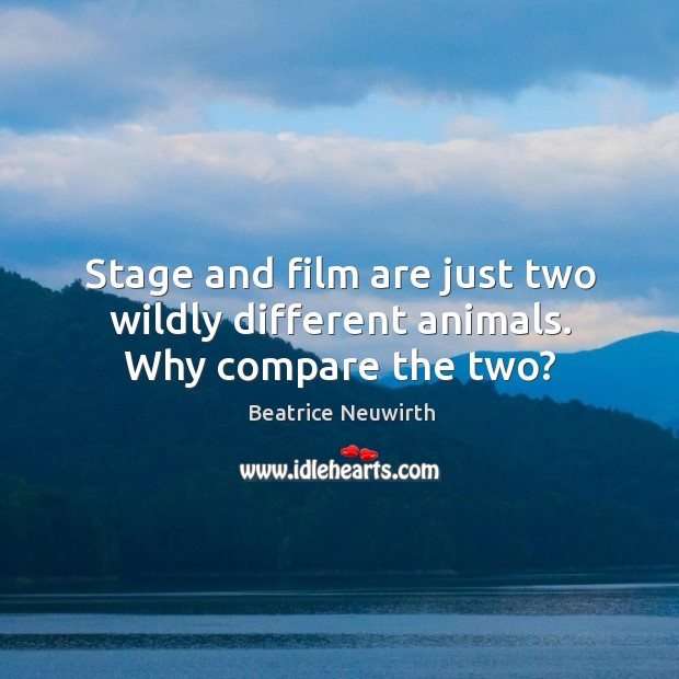 Stage and film are just two wildly different animals. Why compare the two? Beatrice Neuwirth Picture Quote