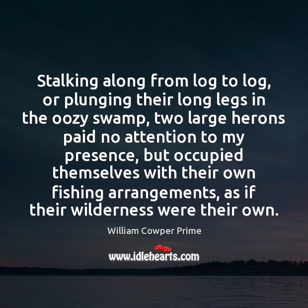 Stalking along from log to log, or plunging their long legs in William Cowper Prime Picture Quote