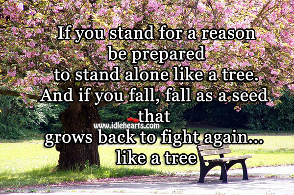 If you fall, fall as a seed that grows back to fight again Image