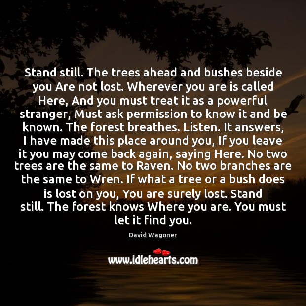 Stand still. The trees ahead and bushes beside you Are not lost. 