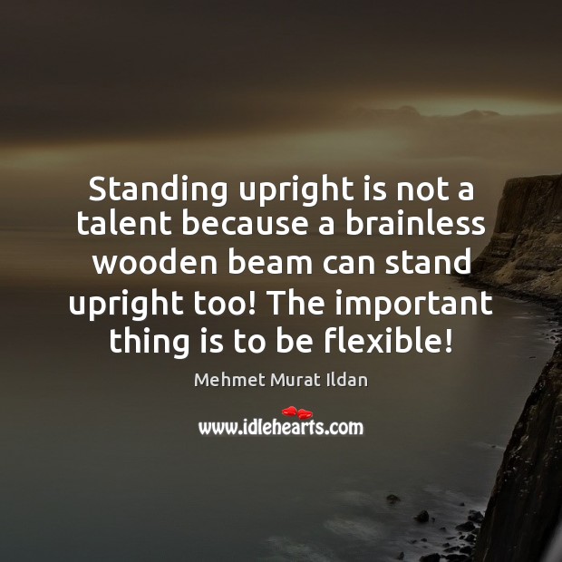 Standing upright is not a talent because a brainless wooden beam can Image
