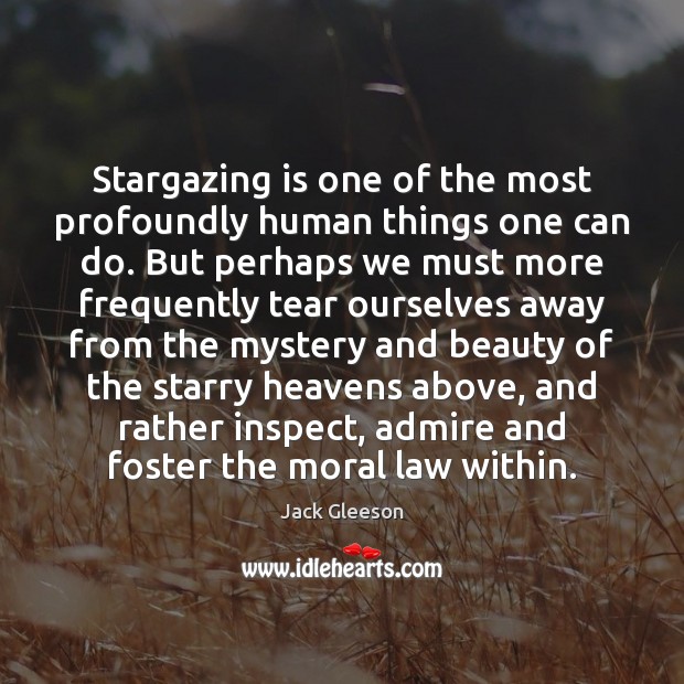 Stargazing is one of the most profoundly human things one can do. Jack Gleeson Picture Quote