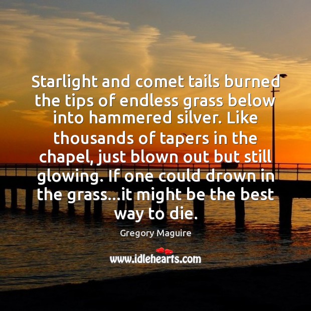 Starlight and comet tails burned the tips of endless grass below into Gregory Maguire Picture Quote