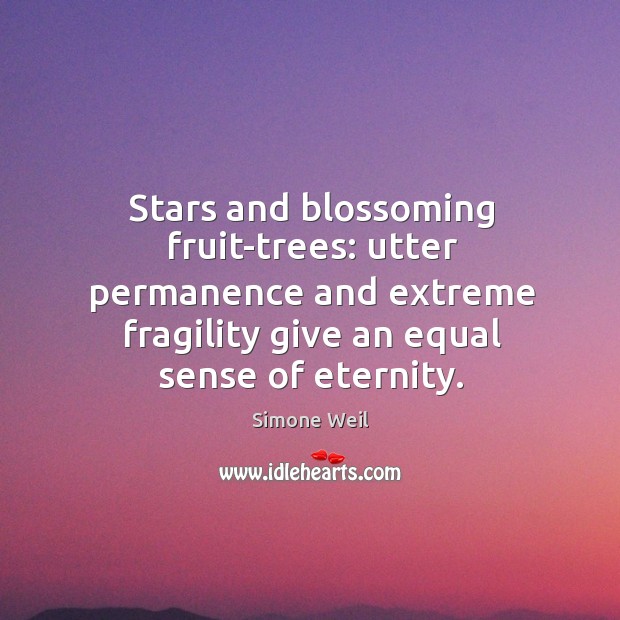 Stars and blossoming fruit-trees: utter permanence and extreme fragility give an equal Image