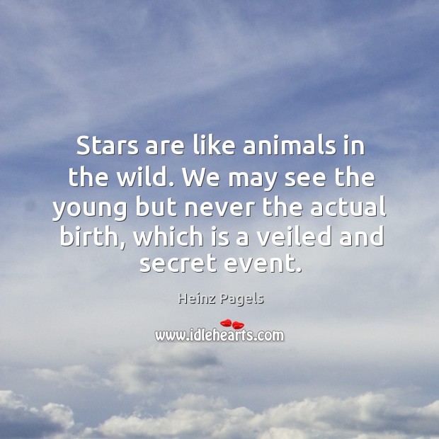 Stars are like animals in the wild. We may see the young but never the actual birth, which is a veiled and secret event. Heinz Pagels Picture Quote