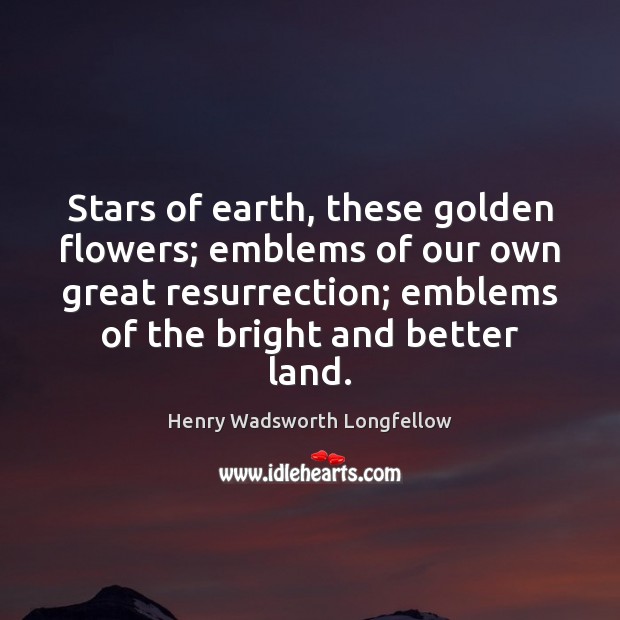 Stars of earth, these golden flowers; emblems of our own great resurrection; Henry Wadsworth Longfellow Picture Quote