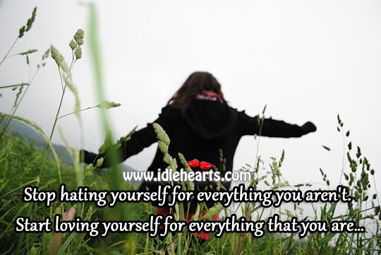 Stop hating yourself for everything Image