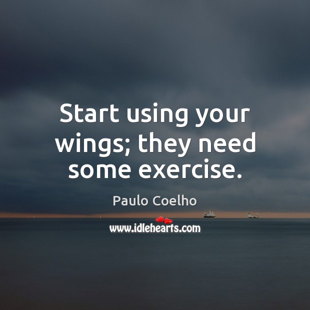 Start using your wings; they need some exercise. Image