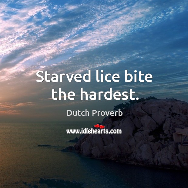 Starved lice bite the hardest. Dutch Proverbs Image