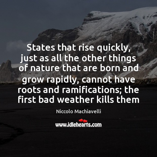 States that rise quickly, just as all the other things of nature Niccolo Machiavelli Picture Quote