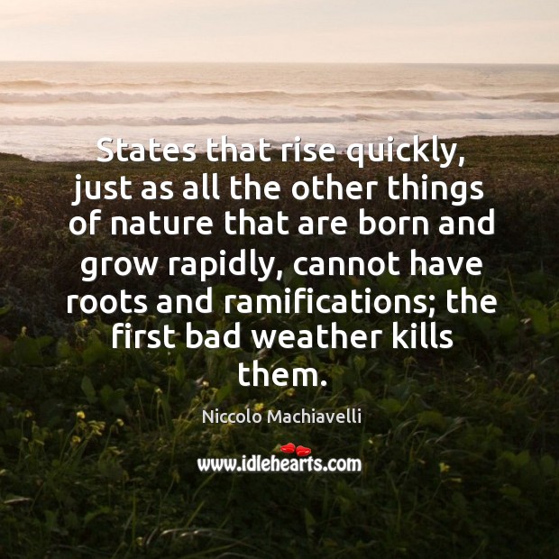 States that rise quickly, just as all the other things of nature that are born and grow rapidly Niccolo Machiavelli Picture Quote
