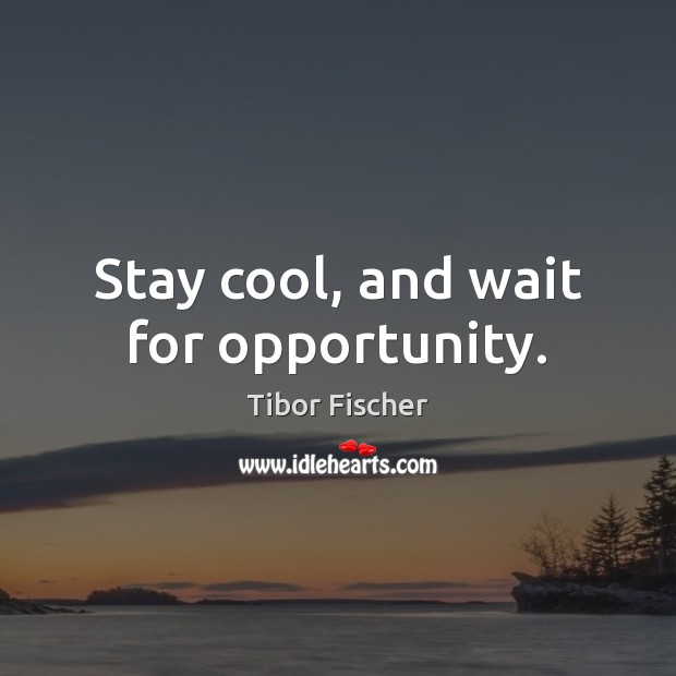 Stay cool, and wait for opportunity. Tibor Fischer Picture Quote
