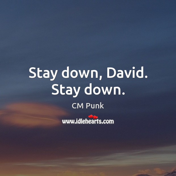 Stay down, David. Stay down. CM Punk Picture Quote
