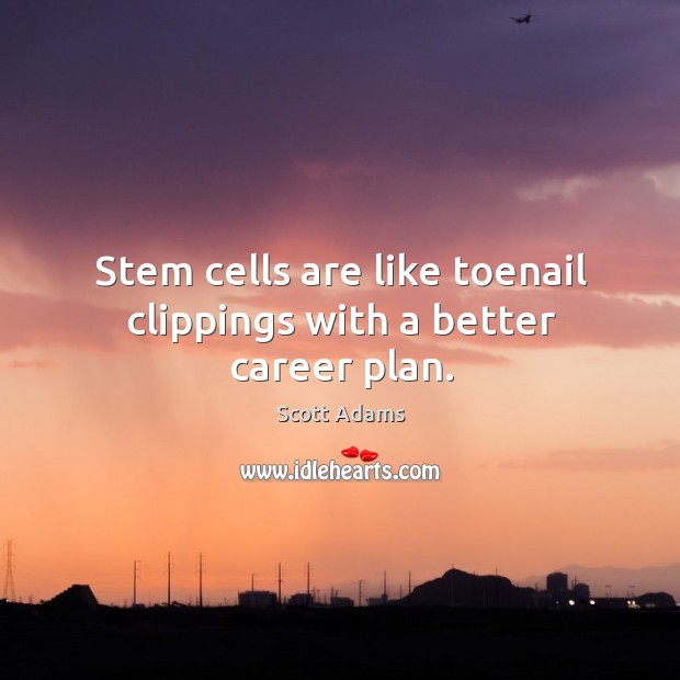 Stem cells are like toenail clippings with a better career plan. Scott Adams Picture Quote