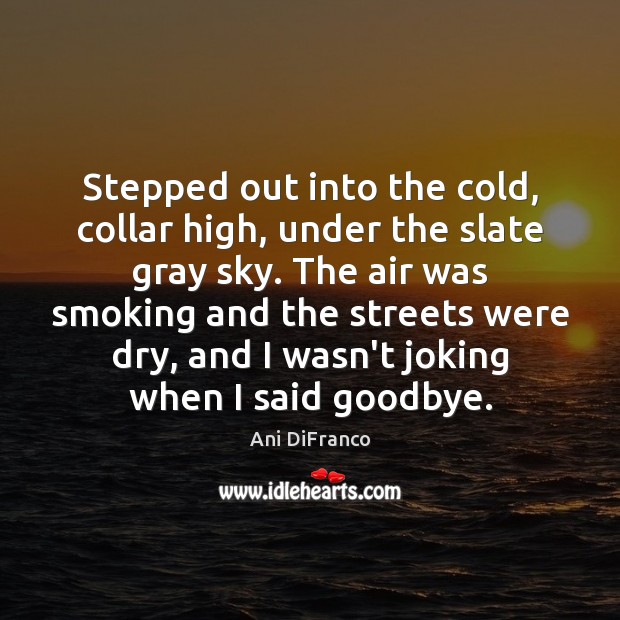 Stepped out into the cold, collar high, under the slate gray sky. Ani DiFranco Picture Quote