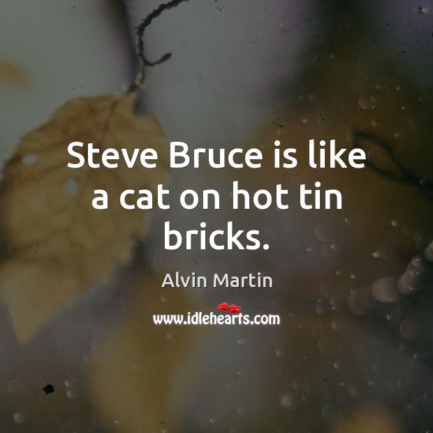 Steve Bruce is like a cat on hot tin bricks. Alvin Martin Picture Quote