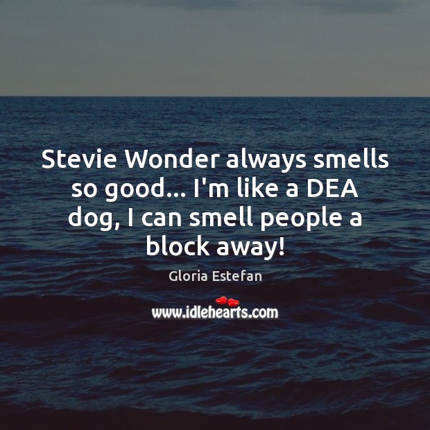 Stevie Wonder always smells so good… I’m like a DEA dog, I Gloria Estefan Picture Quote