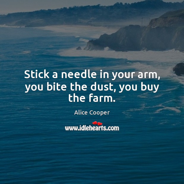 Stick a needle in your arm, you bite the dust, you buy the farm. Alice Cooper Picture Quote