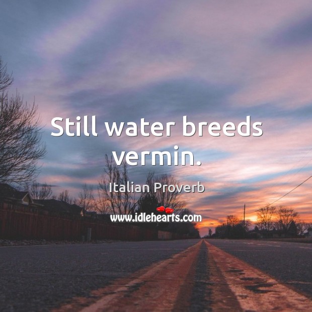 Still water breeds vermin. Image