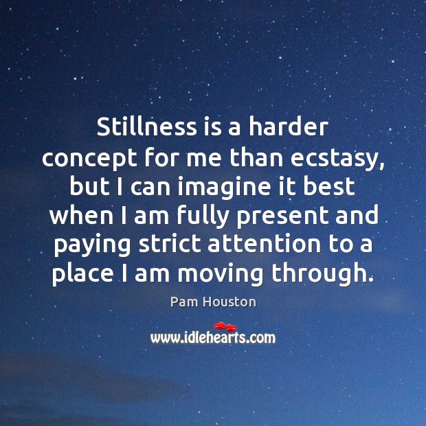Stillness is a harder concept for me than ecstasy, but I can Pam Houston Picture Quote