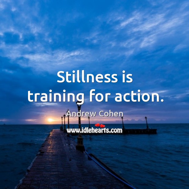 Stillness is training for action. Andrew Cohen Picture Quote
