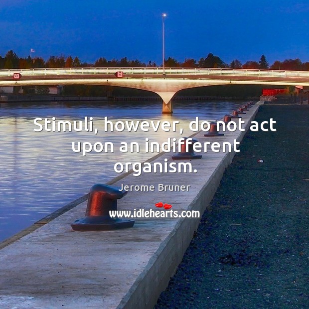 Stimuli, however, do not act upon an indifferent organism. Jerome Bruner Picture Quote
