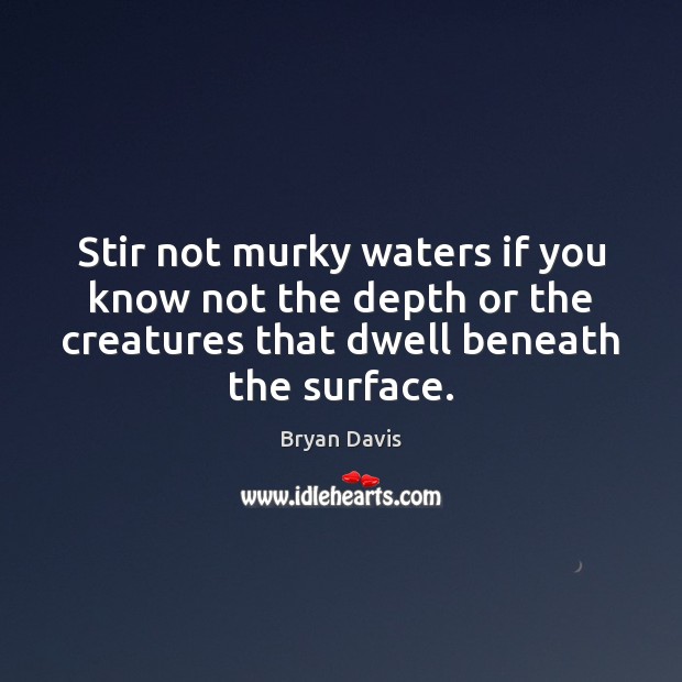 Stir not murky waters if you know not the depth or the Image
