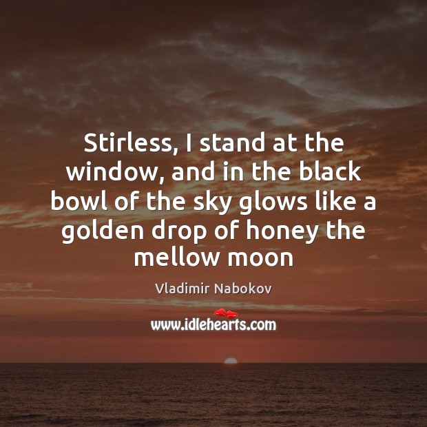 Stirless, I stand at the window, and in the black bowl of Vladimir Nabokov Picture Quote