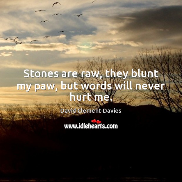 Stones are raw, they blunt my paw, but words will never hurt me. David Clement-Davies Picture Quote