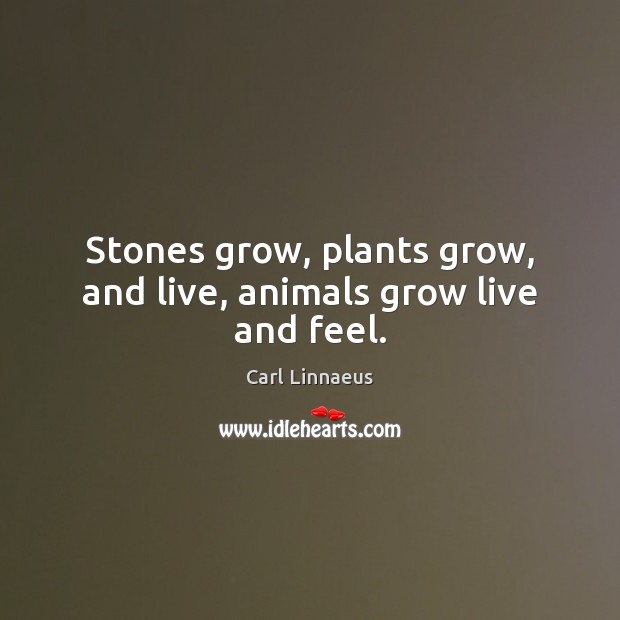 Stones grow, plants grow, and live, animals grow live and feel. Carl Linnaeus Picture Quote