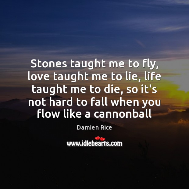 Stones taught me to fly, love taught me to lie, life taught Damien Rice Picture Quote