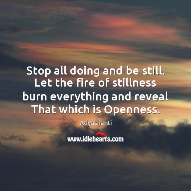 Stop all doing and be still. Let the fire of stillness burn Adyashanti Picture Quote
