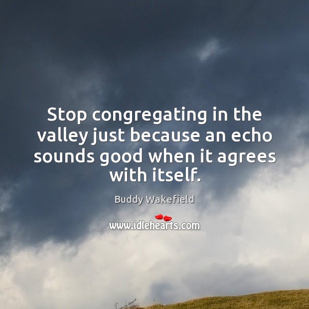 Stop congregating in the valley just because an echo sounds good when Buddy Wakefield Picture Quote