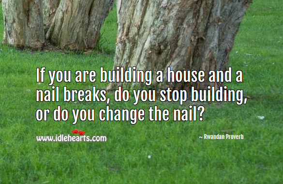 If you are building a house and a nail breaks, do you stop building, or do you change the nail? Rwandan Proverbs Image