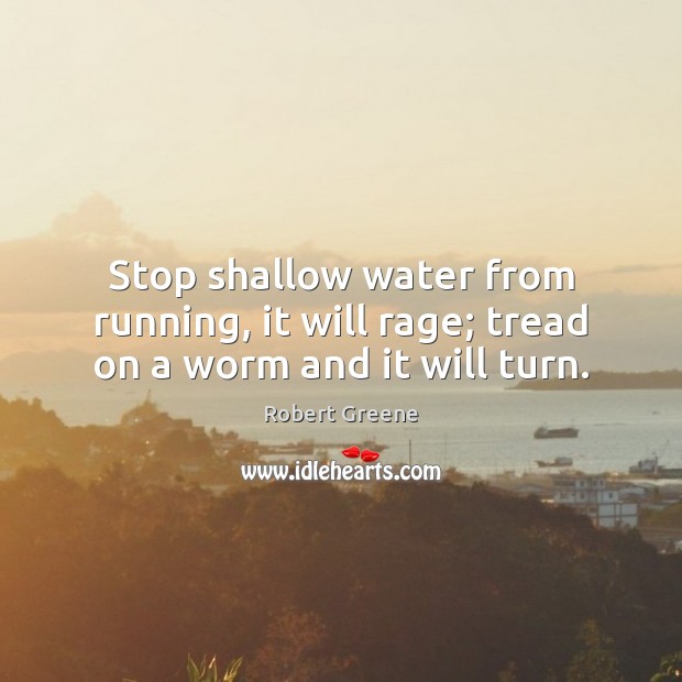 Stop shallow water from running, it will rage; tread on a worm and it will turn. Robert Greene Picture Quote