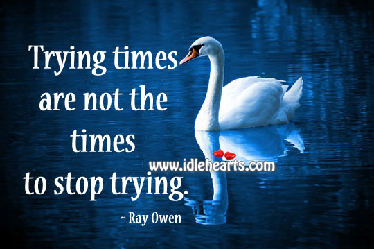 Trying times are not the times to stop trying. Ray Owen Picture Quote