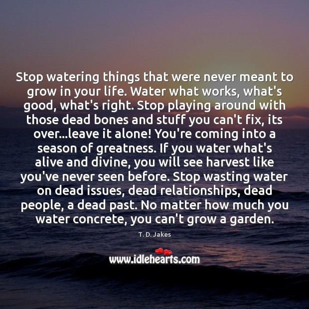 Stop watering things that were never meant to grow in your life. Image