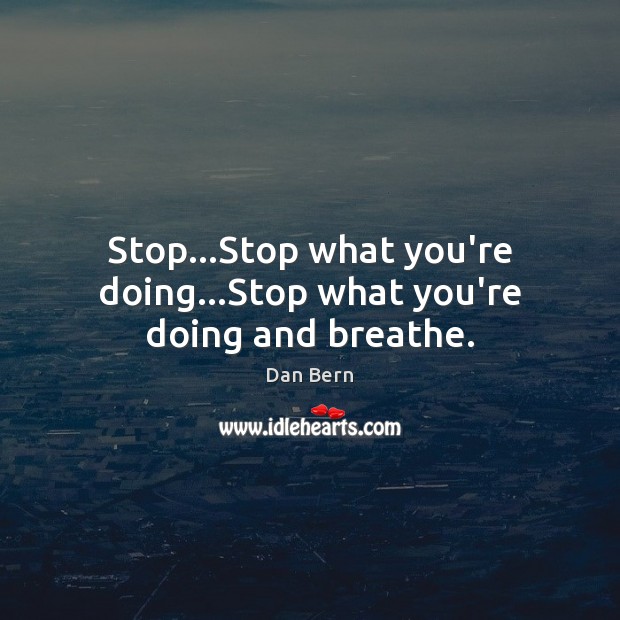 Stop…Stop what you’re doing…Stop what you’re doing and breathe. Dan Bern Picture Quote